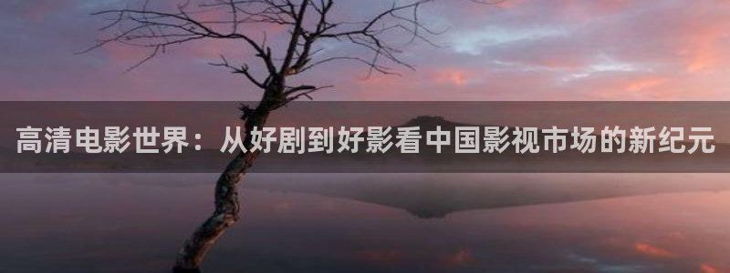 老湿影院毛片：高清电影世界：从好剧到好影看中国影视市场的新纪元