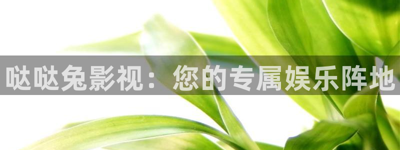 老湿影院免费体验：哒哒兔影视：您的专属娱乐阵地