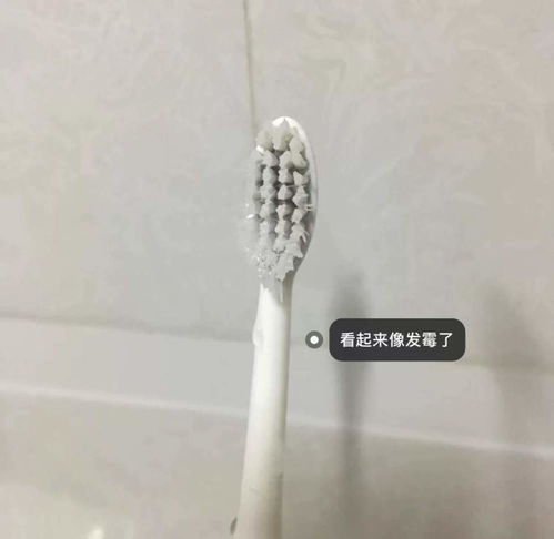 不管多节省，家里这7样口腔卫生用品要及时扔掉，别觉得可惜