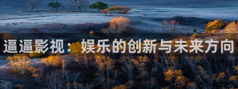 老湿影院一分钟体验：逼逼影视：娱乐的创新与未来方向