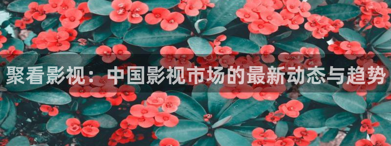老湿网：聚看影视：中国影视市场的最新动态与趋势