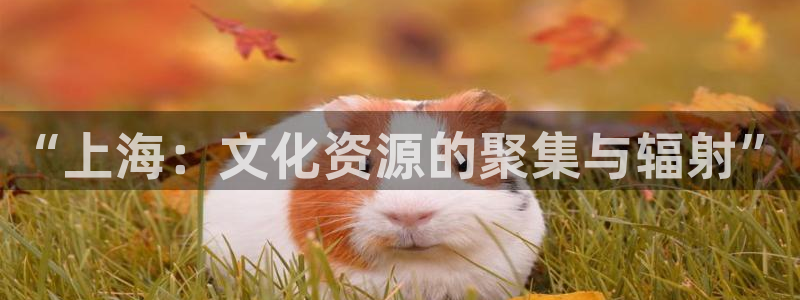老湿影院午夜：“上海：文化资源的聚集与辐射”