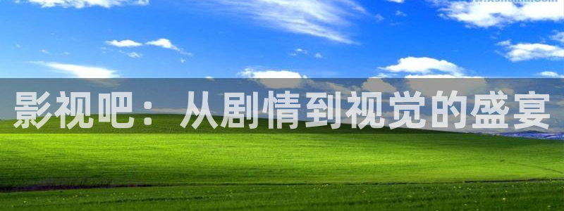老湿机视频在线观看：影视吧：从剧情到视觉的盛宴