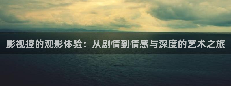 老湿影院日韩：影视控的观影体验：从剧情到情感与深度的艺术之旅