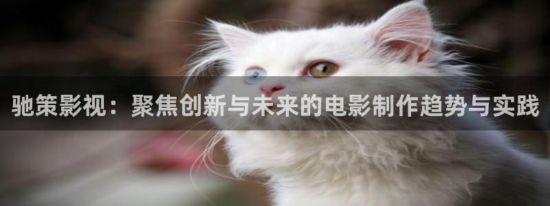 老湿影院免费视频：驰策影视：聚焦创新与未来的电影制作趋势与实践