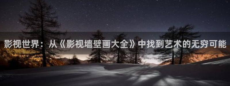 老湿影院欧美：影视世界：从《影视墙壁画大全》中找到艺术的无穷可能